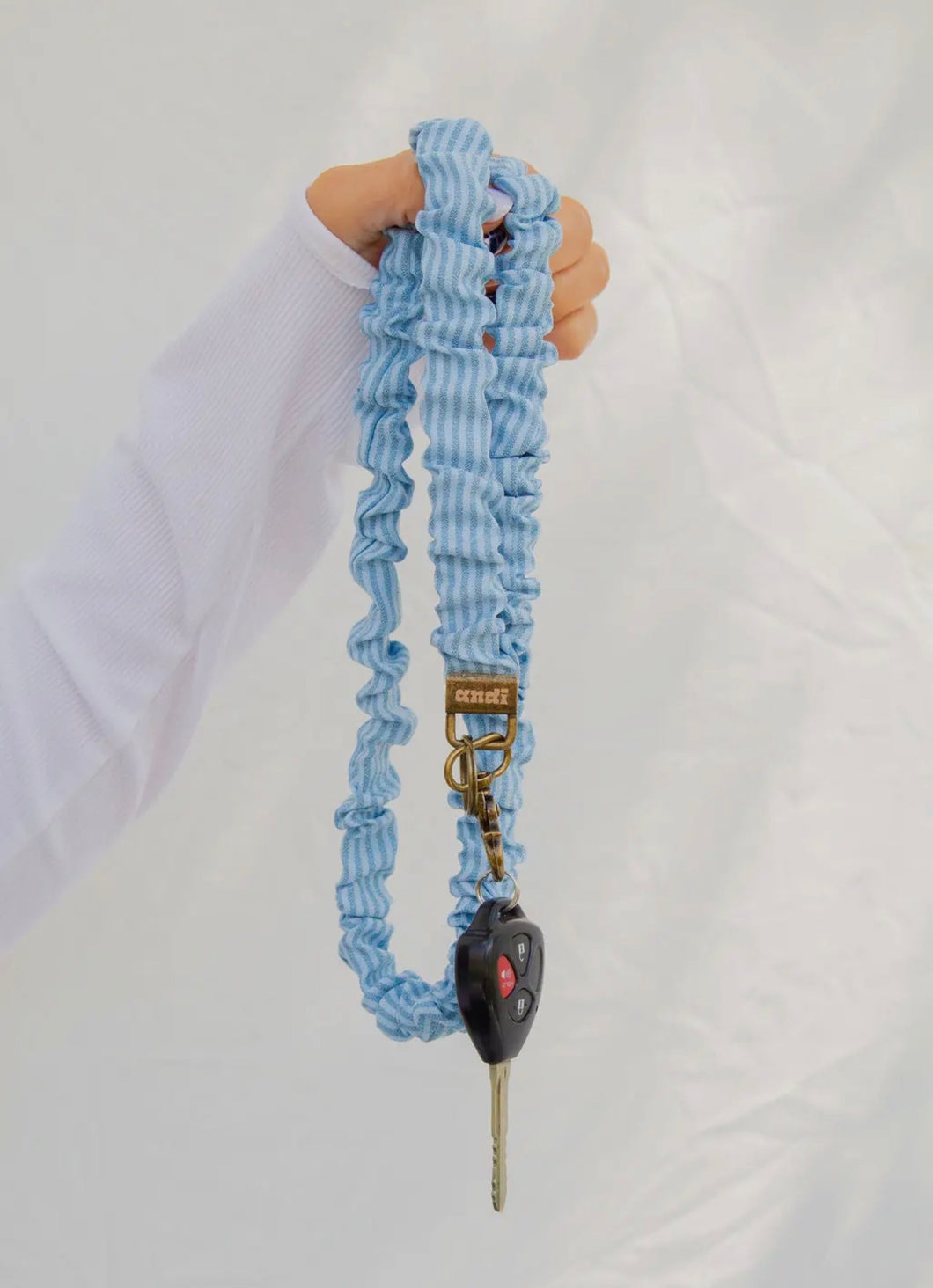 Baby Blues Lanyard